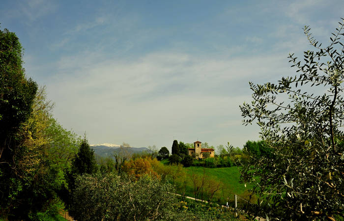 Colli San Benedetto Marostica