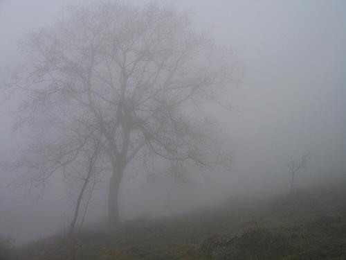 Bassano del Grappa: Monte Caina