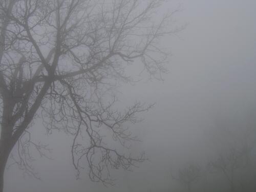 Bassano del Grappa: Monte Caina