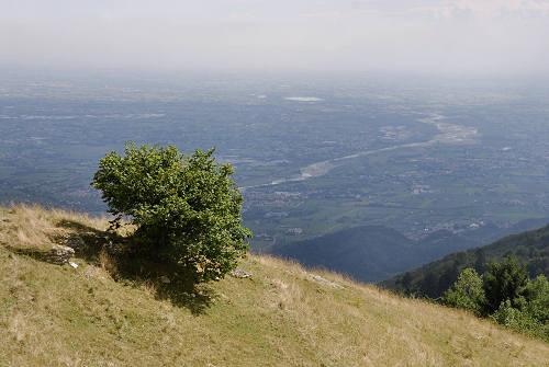 Bassano del Grappa: Monte Caina