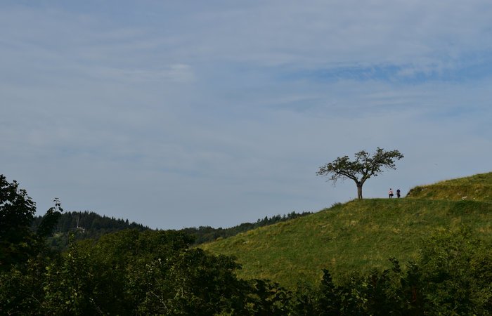 Monte Caina a Rubbio, Altopiano di Asiago Sette Comuni, Comune di Bassano del Grappa