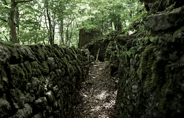 I Trinceroni di monte Campolongo a Rubbio, Altopiano di Asiago nei luoghi della Grande Guerra