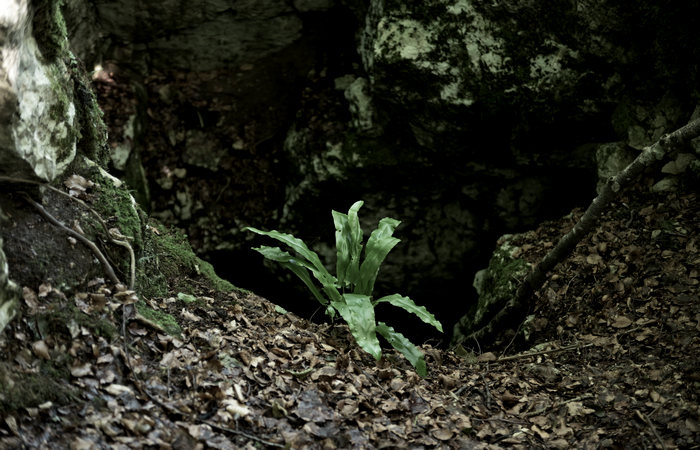 I Trinceroni di monte Campolongo a Rubbio, Altopiano di Asiago nei luoghi della Grande Guerra
