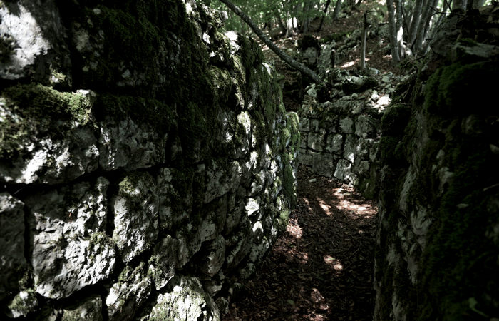 I Trinceroni di monte Campolongo a Rubbio, Altopiano di Asiago nei luoghi della Grande Guerra