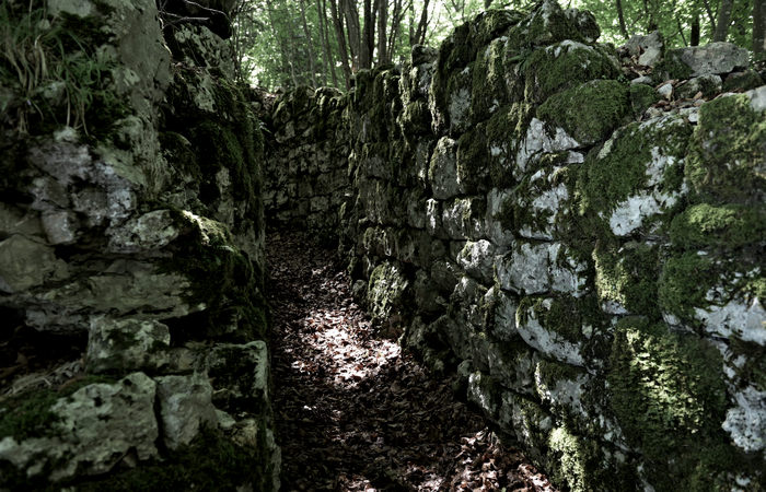I Trinceroni di monte Campolongo a Rubbio, Altopiano di Asiago nei luoghi della Grande Guerra