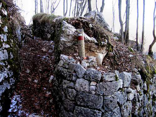 Trinceroni Campolongo - Rubbio