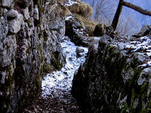 Trinceroni Campolongo - Rubbio