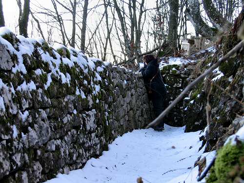 Trinceroni Campolongo - Rubbio