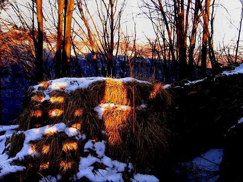 Trinceroni Campolongo - Rubbio