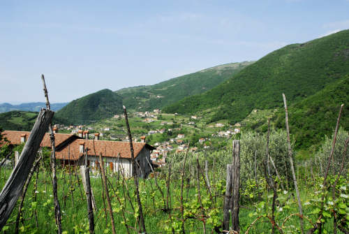Caluga di Valrovina, Monte Caina a Rubbio