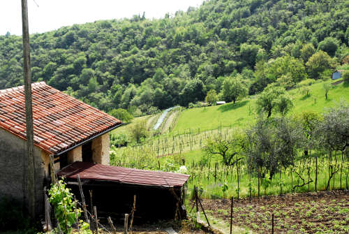 Caluga di Valrovina, Monte Caina a Rubbio
