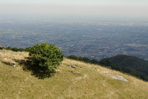 Caluga di Valrovina, Monte Caina a Rubbio