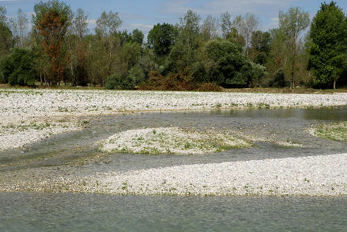 fiume Brenta, Tezze sul Brenta, Parco Amicizia