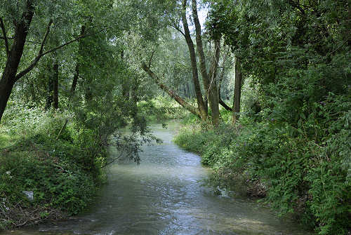 fiume Brenta, Tezze sul Brenta, Parco Amicizia