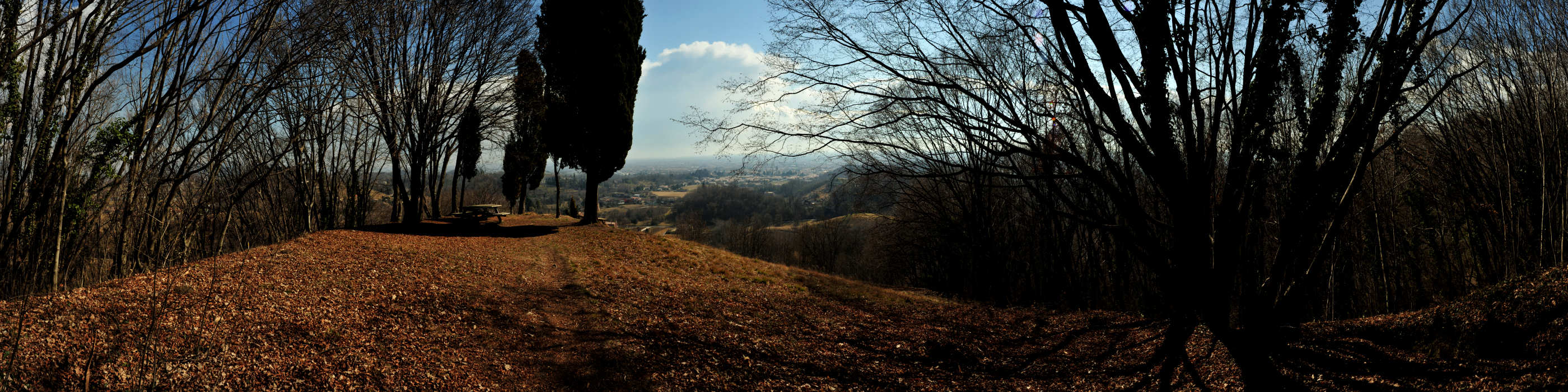 San Zenone Ezzelino, Collalto