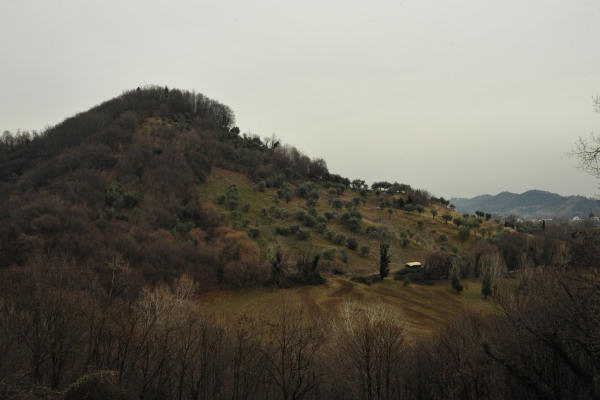 Col Bastia, Colle di Dante a Romano Alto d'Ezzelino