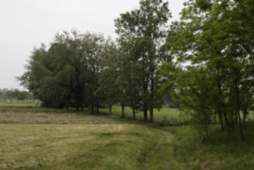 Colle di Dante a Romano d'Ezzelino