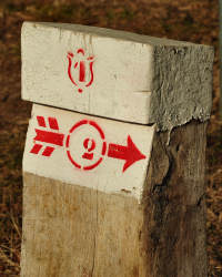 Sentiero Castellaro a San Zenone degli Ezzelini