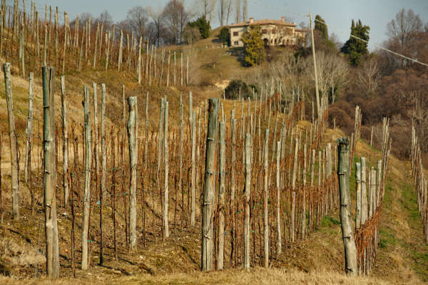 San Zenone degli Ezzelini, sentiero del Castellaro