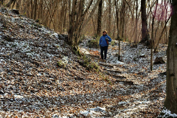 San Zenone degli Ezzelini, sentiero del Castellaro