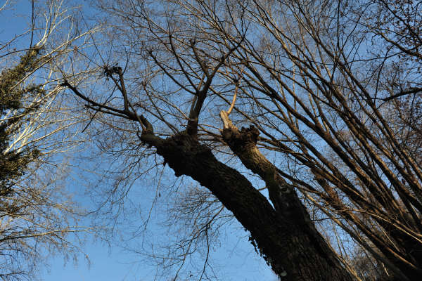 San Zenone degli Ezzelini, sentiero del Castellaro