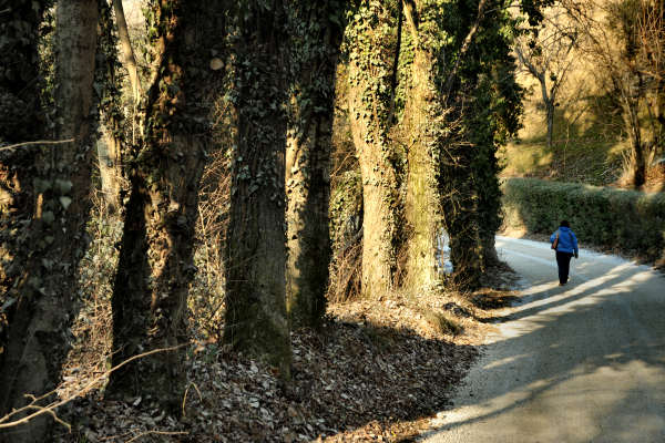 San Zenone degli Ezzelini, sentiero del Castellaro