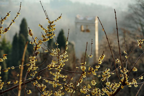 San Zenone degli Ezzelini, sentiero del Castellaro