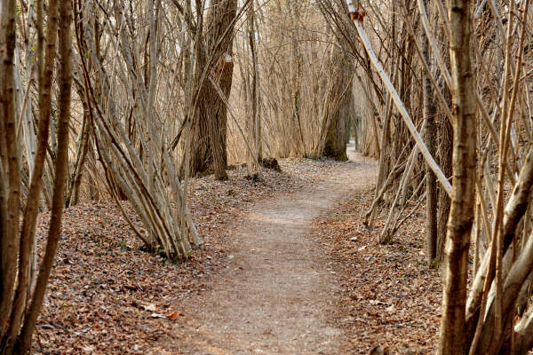 San Zenone degli Ezzelini, sentiero Valle delle Rù