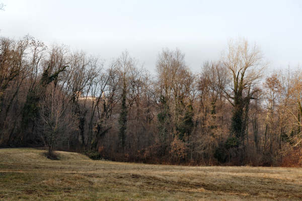 San Zenone degli Ezzelini, sentiero Valle delle Rù