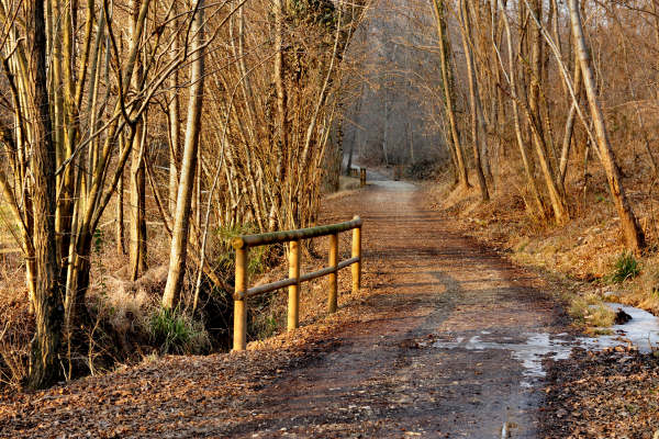 San Zenone degli Ezzelini, sentiero Valle delle Rù
