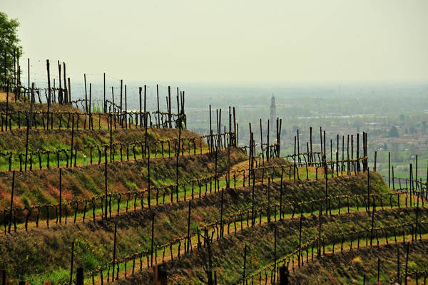 da Marostica a Sant'Agata per i colli di San Benedetto