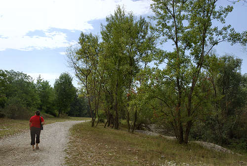 fiume Brenta, Tezze sul Brenta, Parco Amicizia