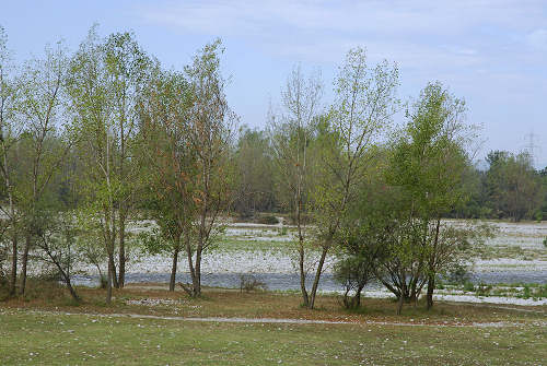 fiume Brenta, Tezze sul Brenta, Parco Amicizia