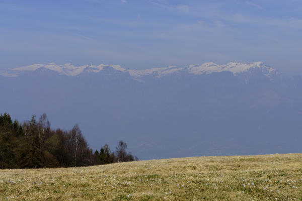 malga Monte Garda al monte Cesen - Lentiai Valbelluna