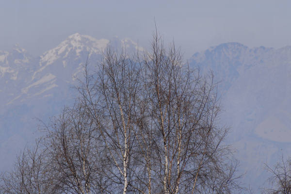 malga Monte Garda al monte Cesen - Lentiai Valbelluna