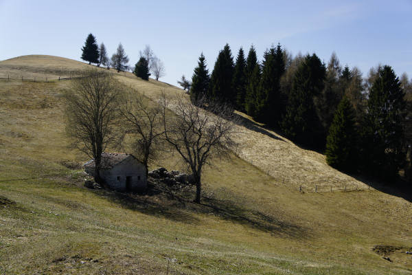malga Monte Garda al monte Cesen - Lentiai Valbelluna