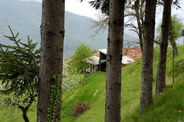 escursione nordic walking Stabie di Lentiai, monte Artent e Col Moscher