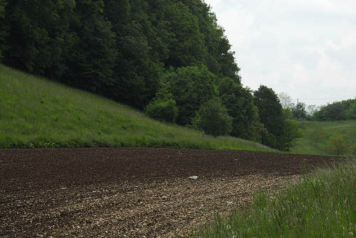sentiero natura San Gervasio - Colderù di Lentiai - Valbelluna