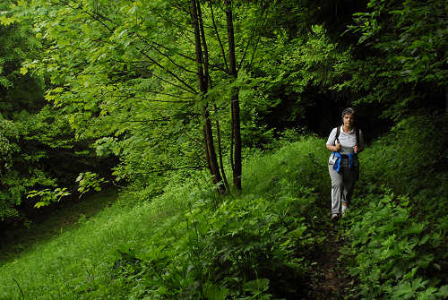 sentiero natura San Gervasio - Colderù di Lentiai - Valbelluna