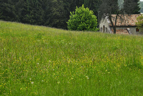 sentiero natura San Gervasio - Colderù di Lentiai - Valbelluna