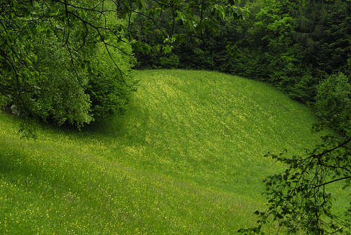 sentiero natura San Gervasio - Colderù di Lentiai - Valbelluna