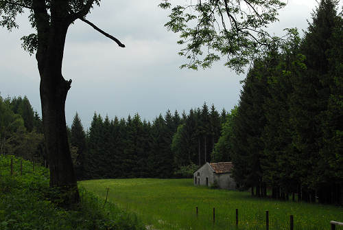 sentiero natura San Gervasio - Colderù di Lentiai - Valbelluna