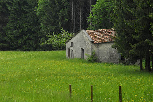 sentiero natura San Gervasio - Colderù di Lentiai - Valbelluna