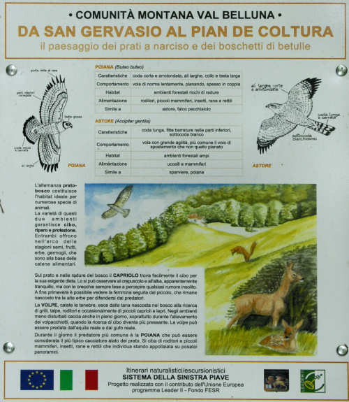 sentiero natura San Gervasio - Colderù di Lentiai - Valbelluna