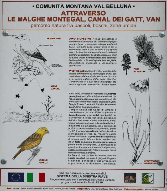 Limana Valmorel, sentiero delle malghe