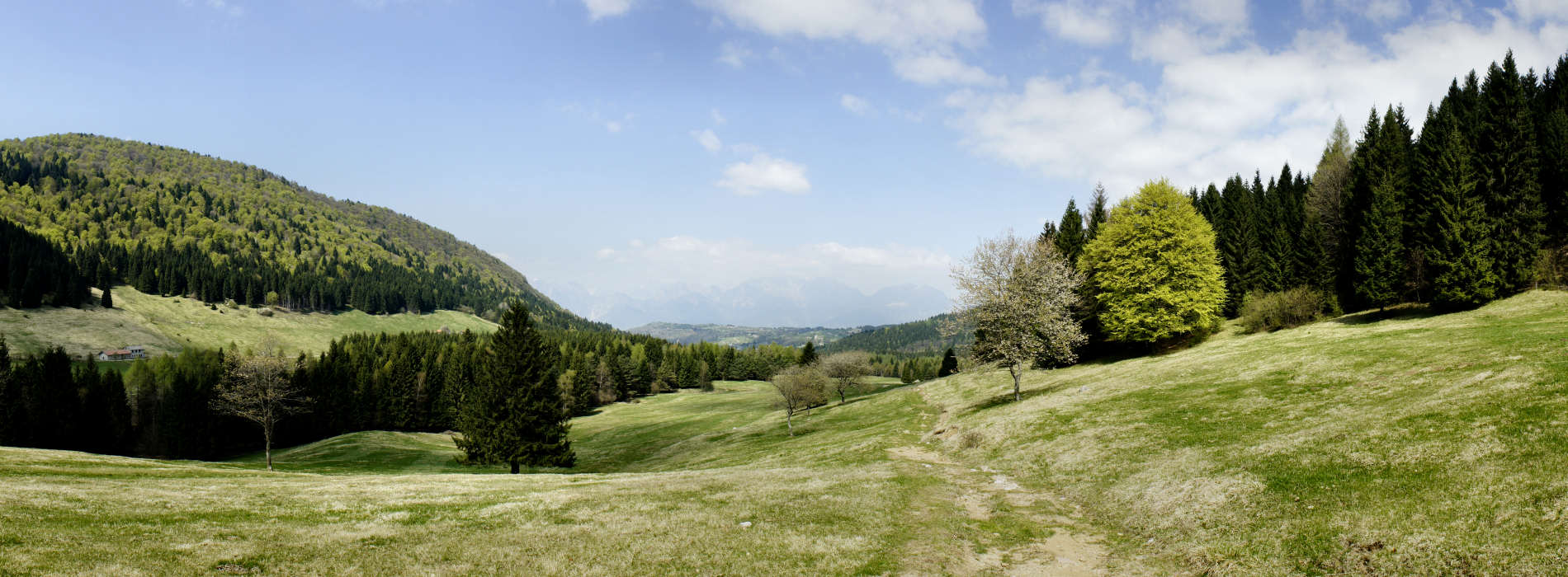 Limana, Valmorel nei pressi di malga MonteGal