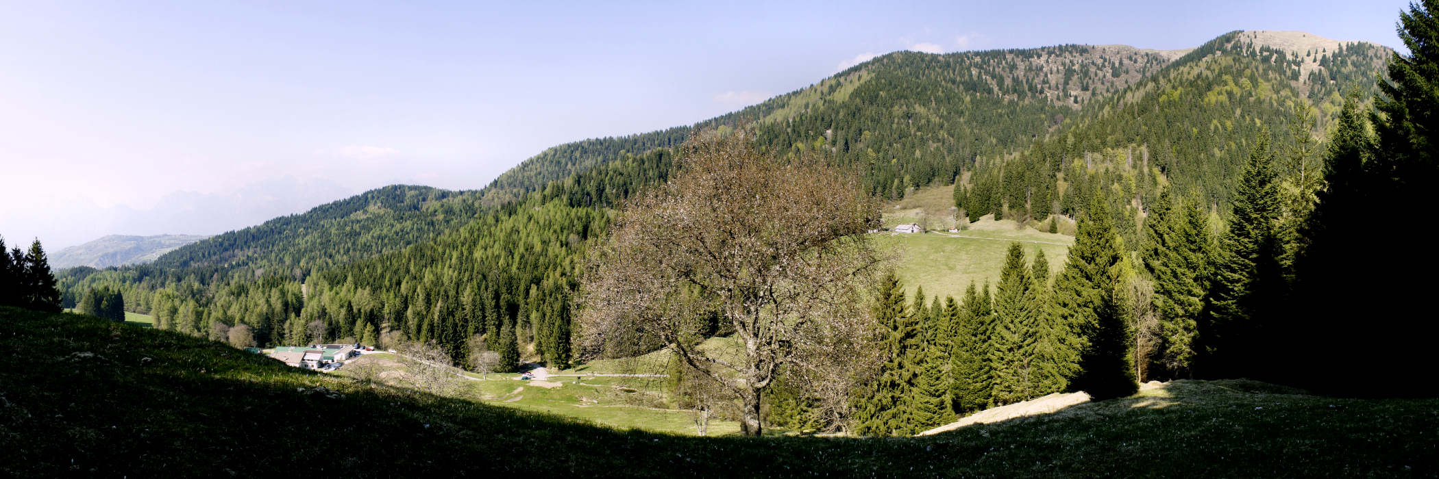 Limana, Valmorel nei pressi di malga MonteGal