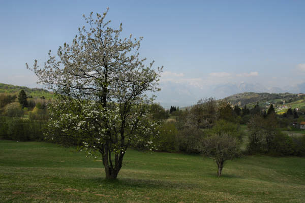 Limana: Valmorel, malga Montegal, Pian dele Femane, i Van