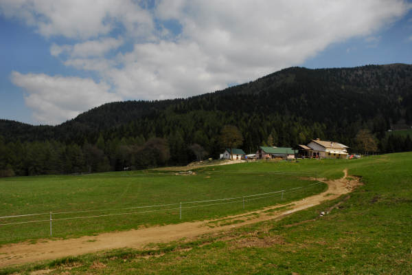 Limana: Valmorel, malga Montegal, Pian dele Femane, i Van