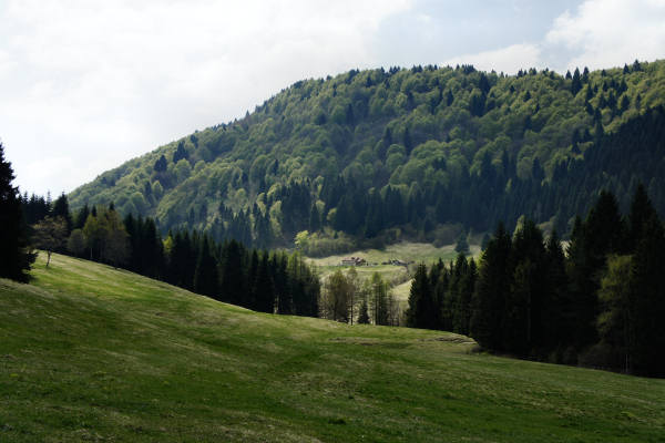 Limana: Valmorel, malga Montegal, Pian dele Femane, i Van